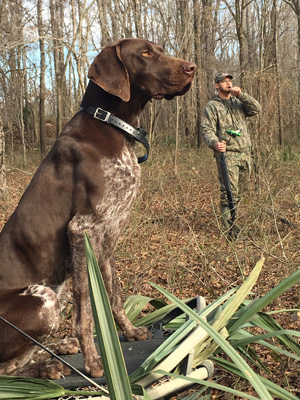 Deep South's Winnin Freedom 'Sam'