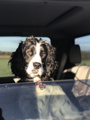 Oscar