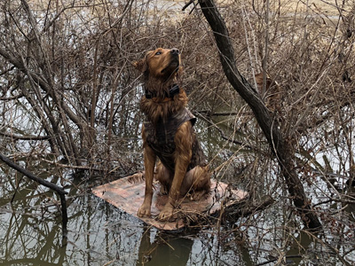 Rusty