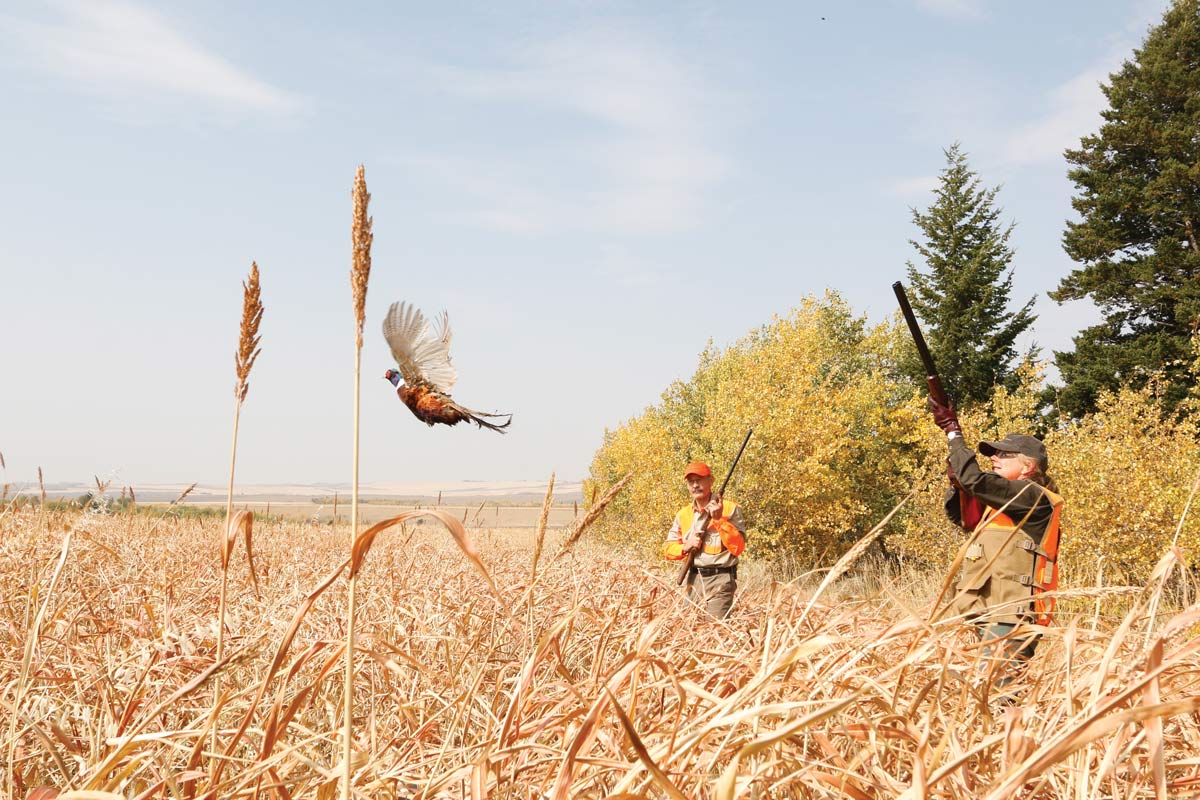 Shotgunning in the Shadows of History - Shooting Sportsman Magazine